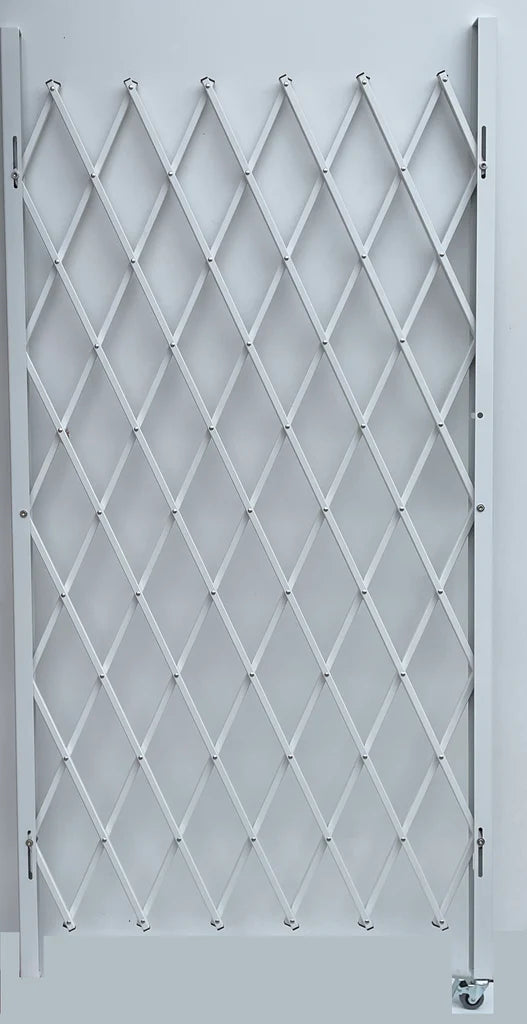 Folding Gate 81"H