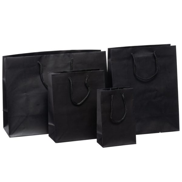 Matte Laminated Shopping Paper Bags