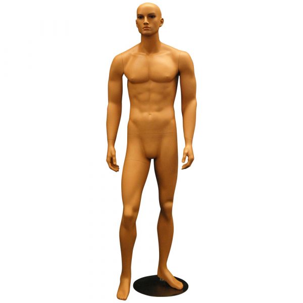 SDMD-HAM25/ Young Male Mannequin
