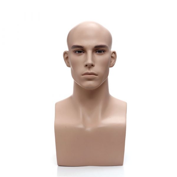 SDH2 / Male Head