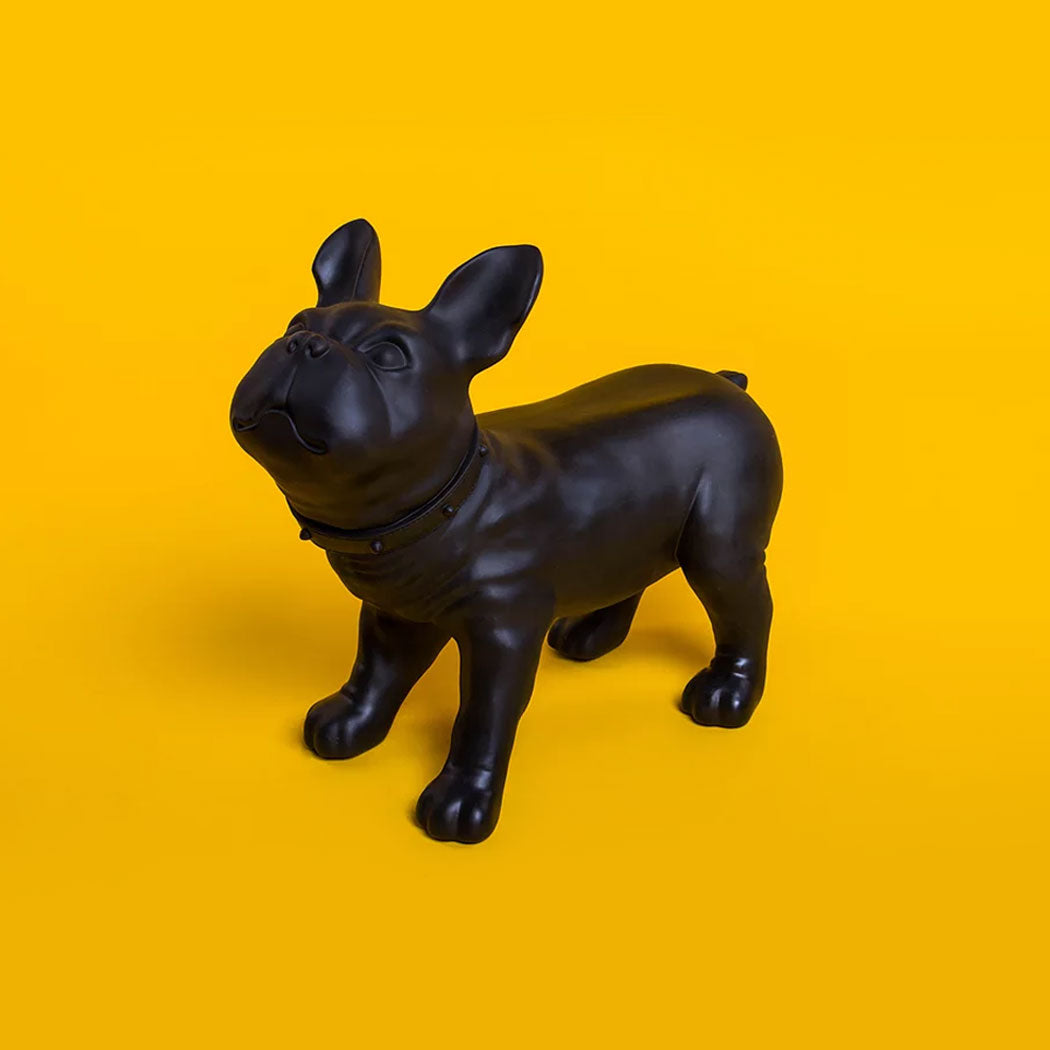 KEVIN'S / French Bulldog