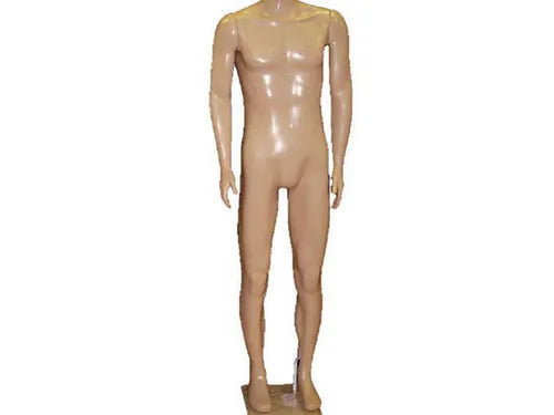 SDR2404 / Mâle brésilien sans tête