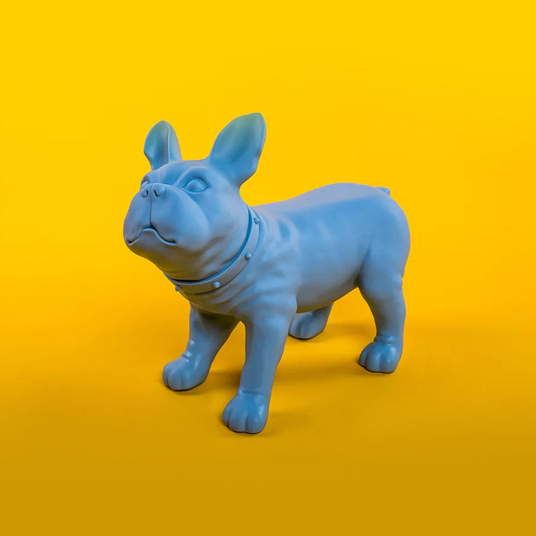 KEVIN'S / French Bulldog