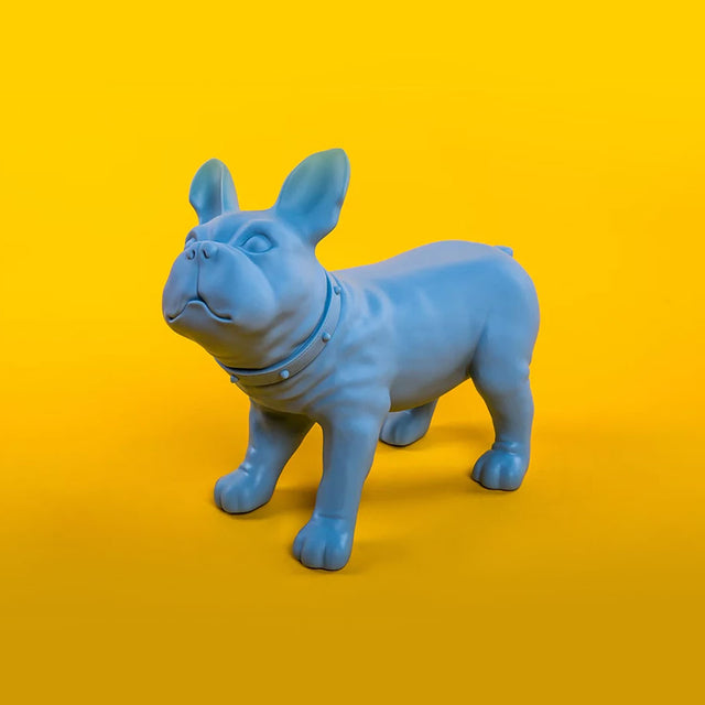 KEVIN'S / French Bulldog