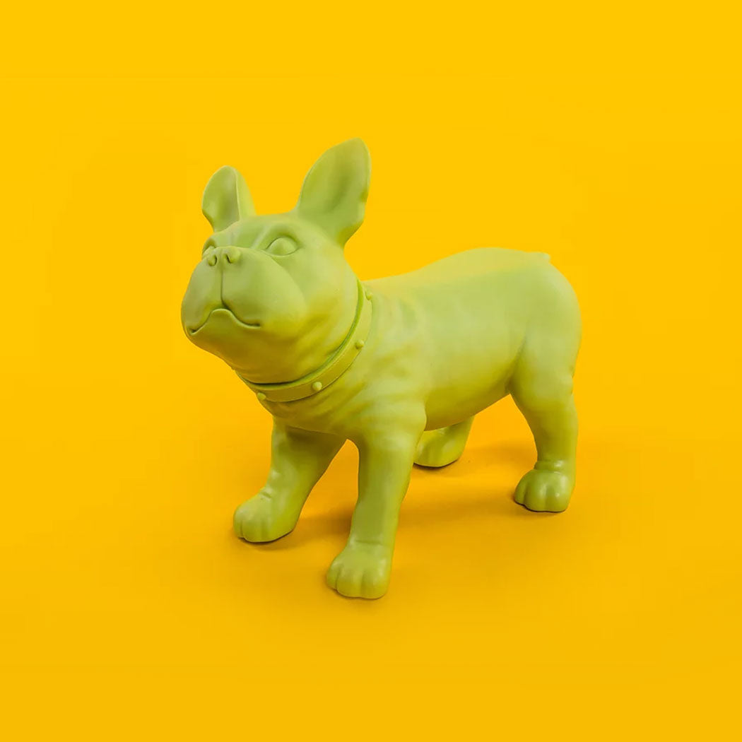 KEVIN'S / French Bulldog
