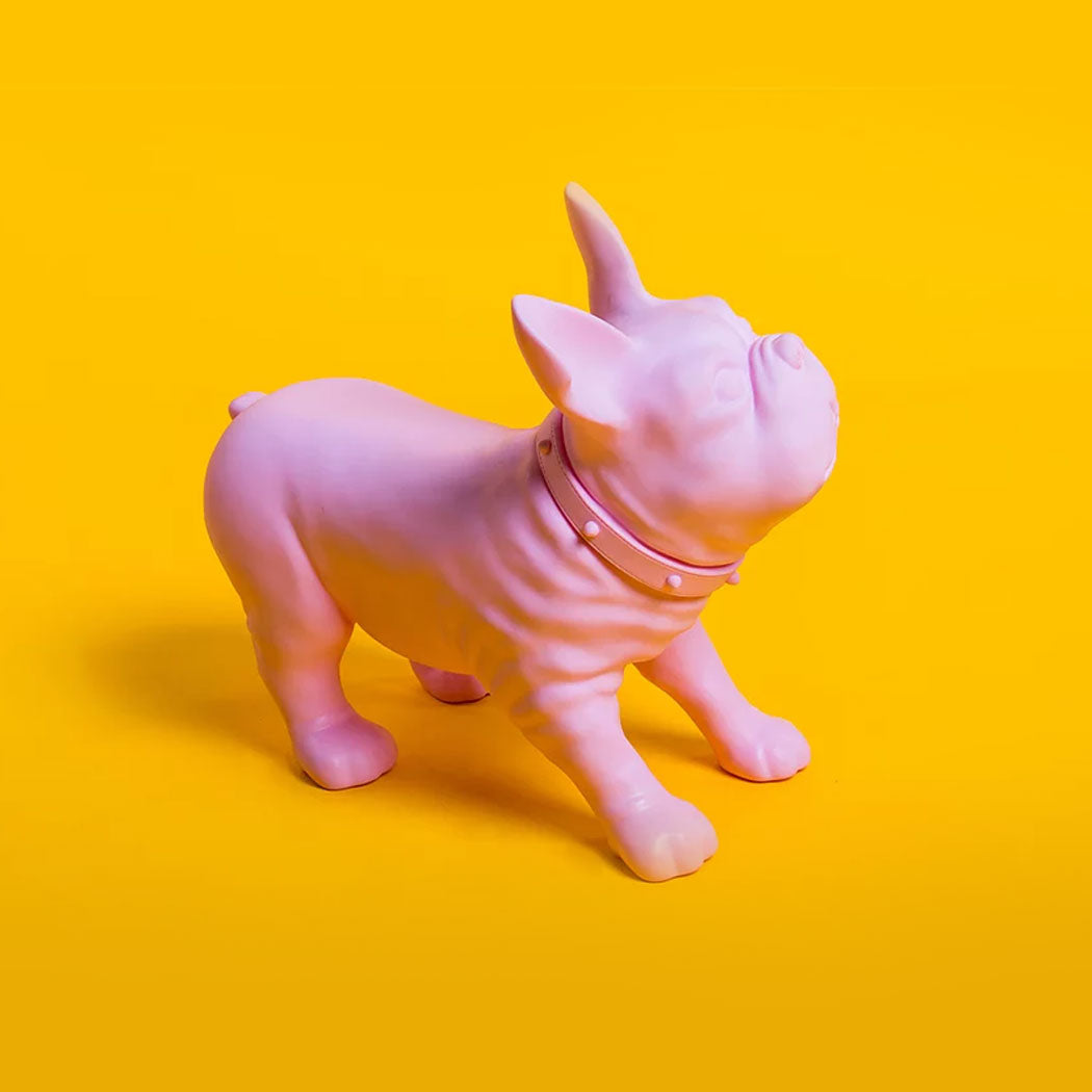 KEVIN'S / French Bulldog