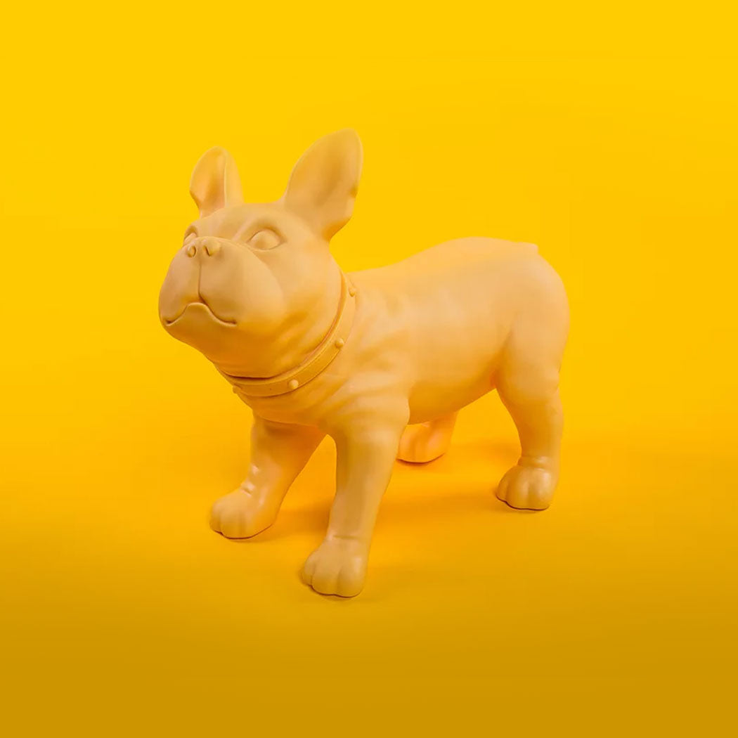 KEVIN'S / French Bulldog