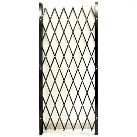 Security Gates + Crowd Control