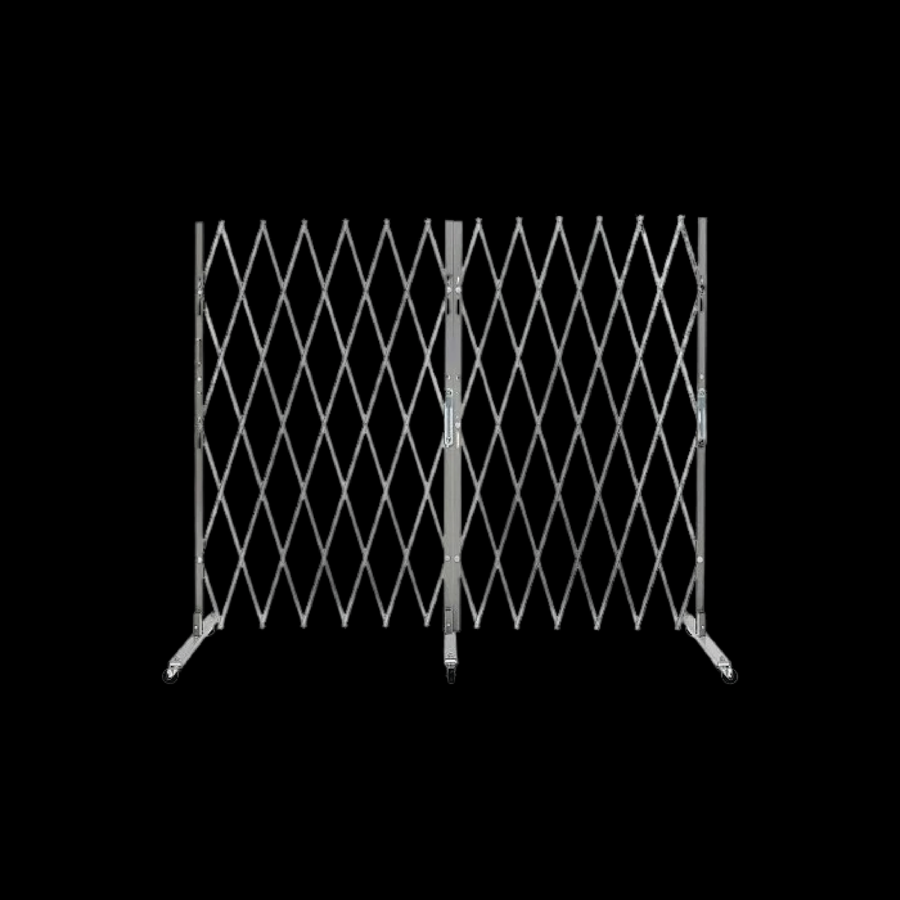 Security Gates and Crowd Control