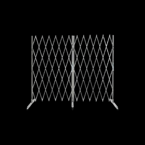 Security Gates + Crowd Control