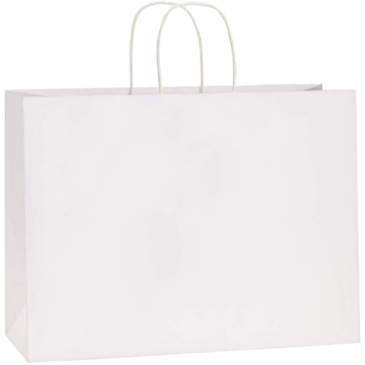 Recyclable Kraft Paper Bags Twisted Paper Handles White