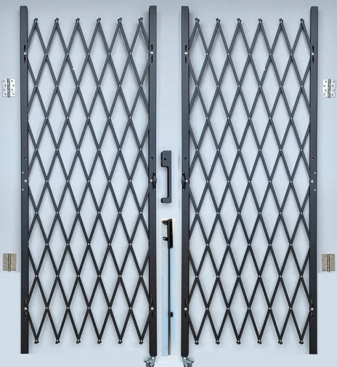 Security Gates + Crowd Control