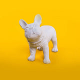 KEVIN'S / French Bulldog