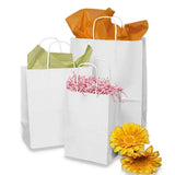 White Recyclable Kraft Paper Bags | Twisted Paper Handles